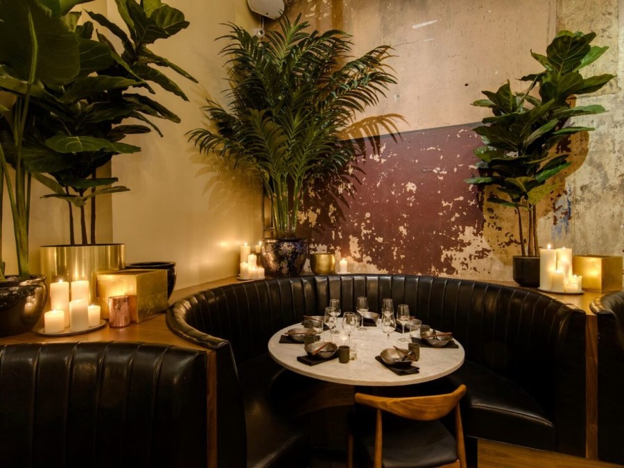 Chinese Tuxedo Decor